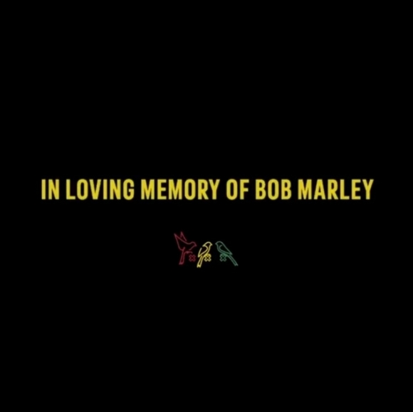 ⚽ 🇯🇲 L Ajax Tribute to Bob Marley Jersey  Special Print - Picture 12 of 12